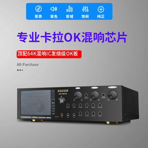 三欣家庭KTV音響套裝 專業家用K歌新體驗